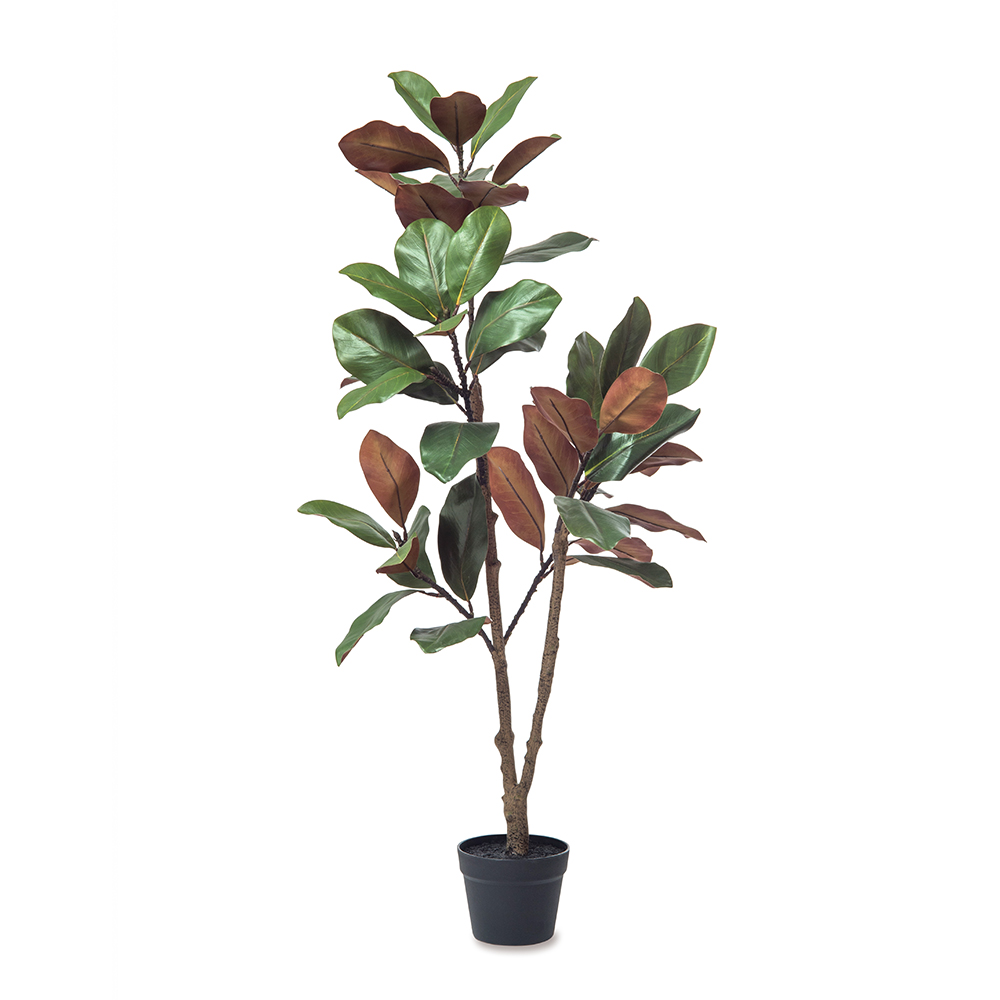 �y�l��z���s�z̨��