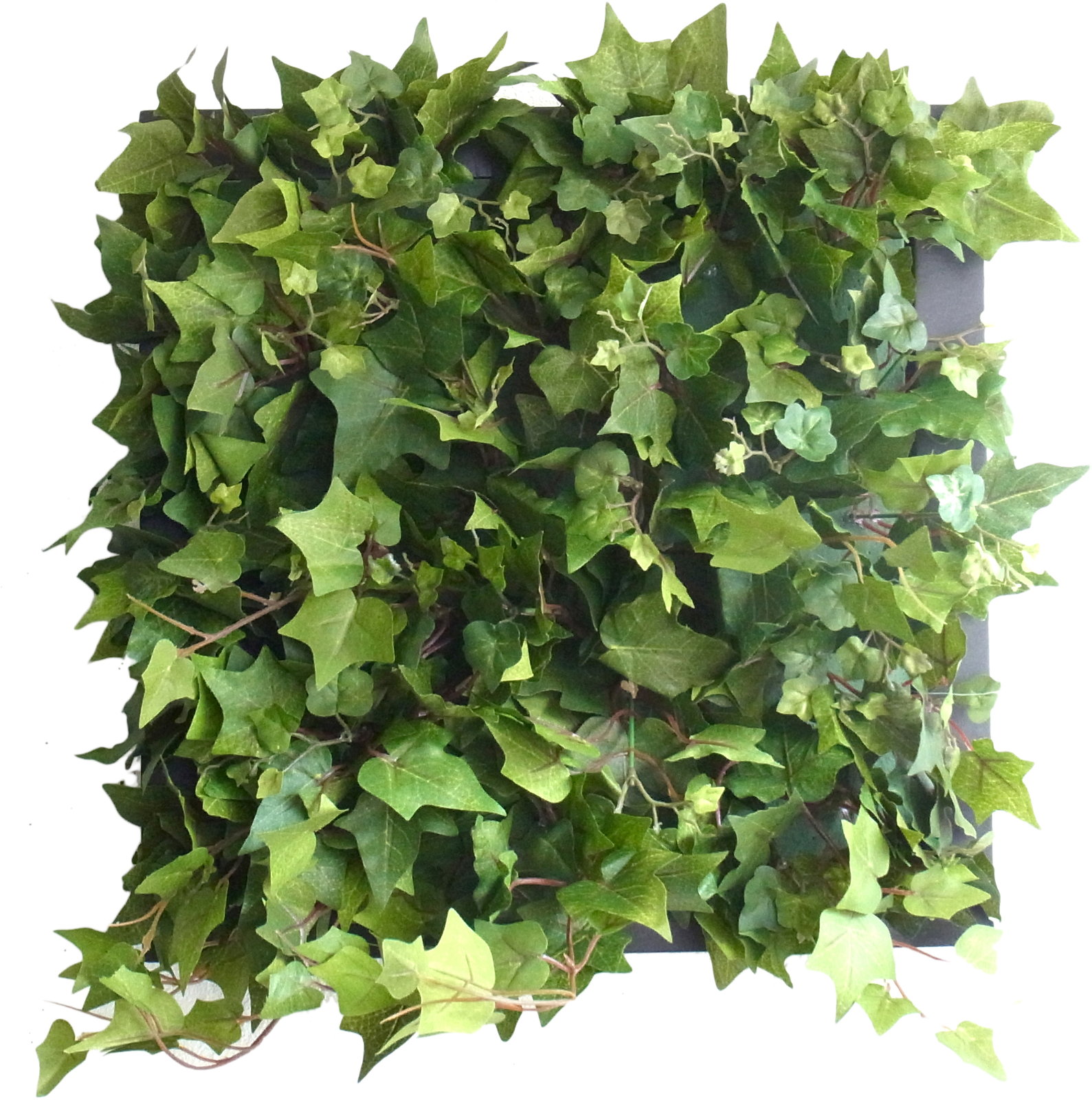 ylzszGreen Wall Decor -j