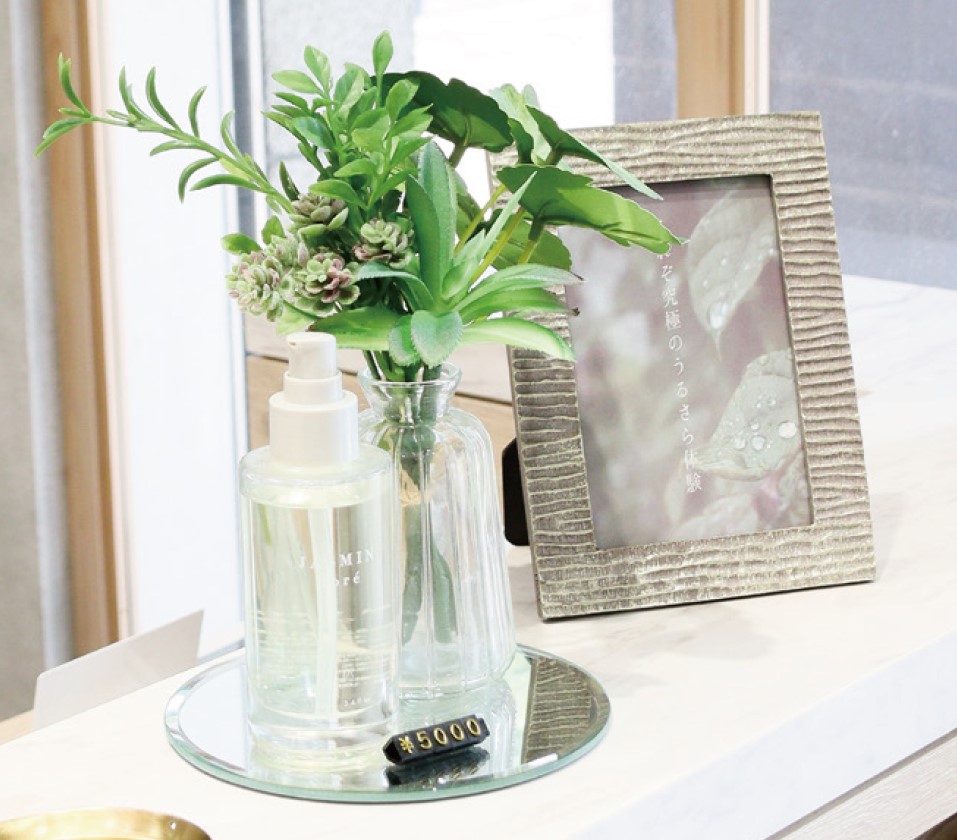 ディスプレイセット グリーン S