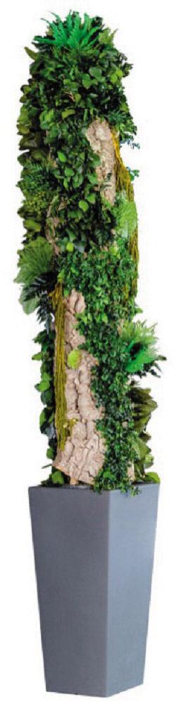 プレーリートーテム 1.0 m