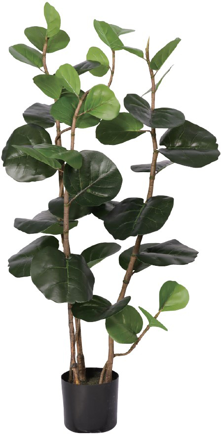 【別途運賃】シーグレープ