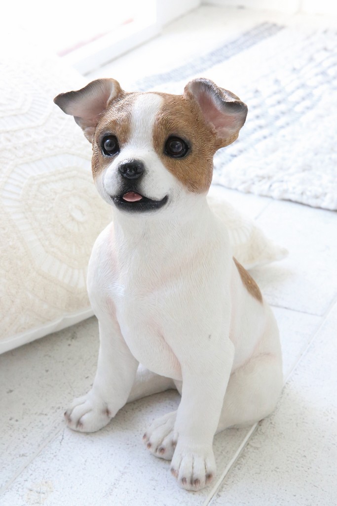 【個人宅不可】パピー・ジャック ボブ