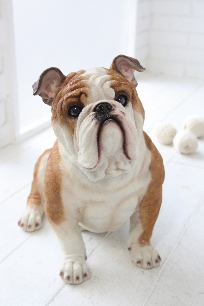 �y�l��z���s�zٯ����ߥ���