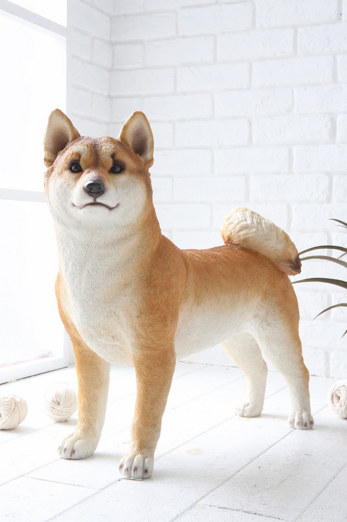 �y�l��z���s�z��޲�