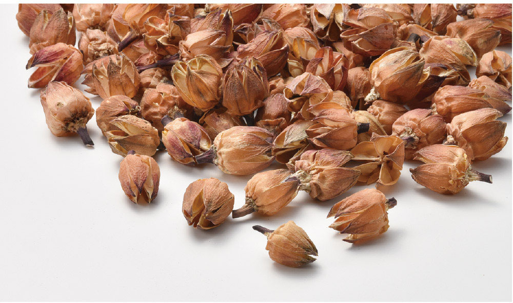 【別途送料】【個人宅不可】フヨウの実 100pc