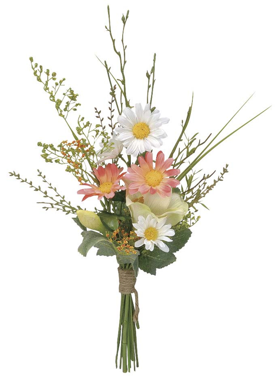 �y�ʓr�����z������-1�{