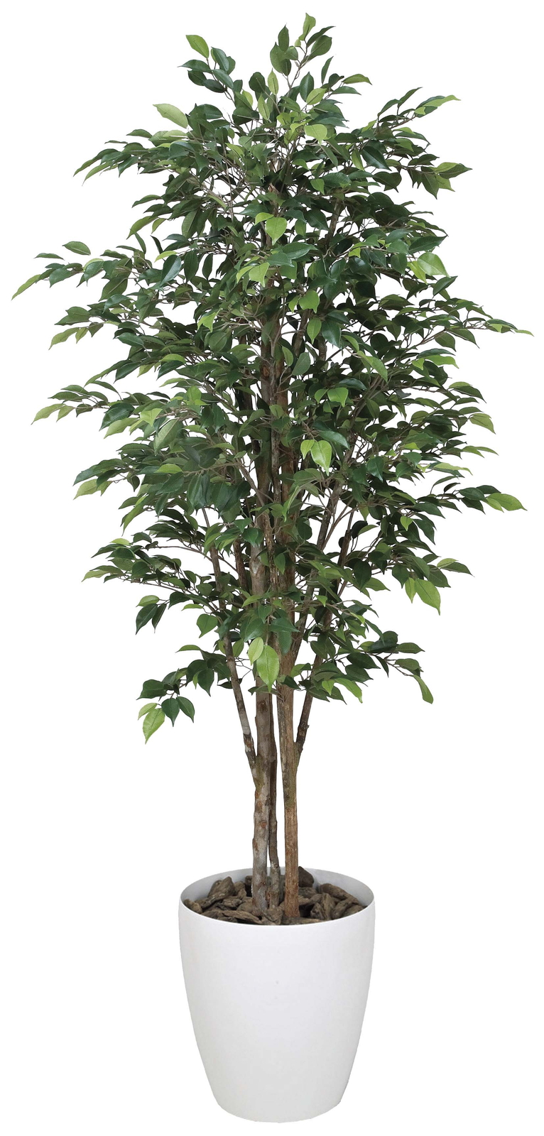 �y�ʓr�����z۲����ݼެ�� 1.6