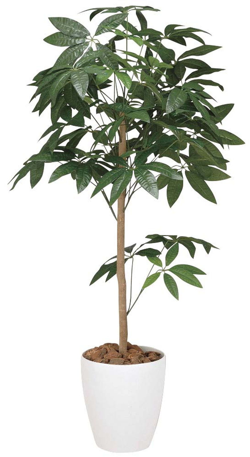 �y�ʓr�����z�߷���߱�- 1.2