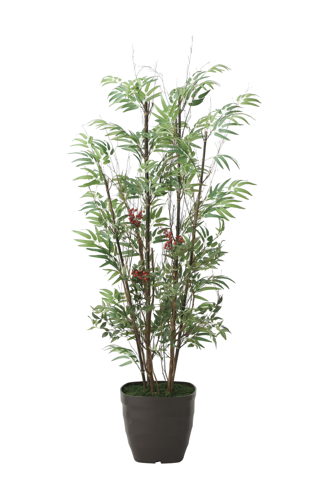 �y�ʓr�����z���|&��V1.6(��:�V�R���|)