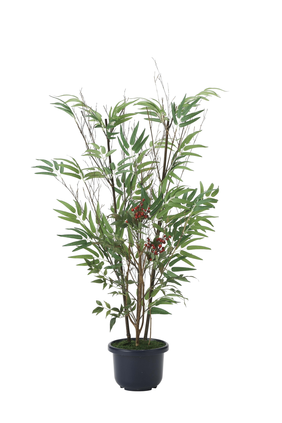 �y�ʓr�����z���|&��V1.0(��:�V�R���|)