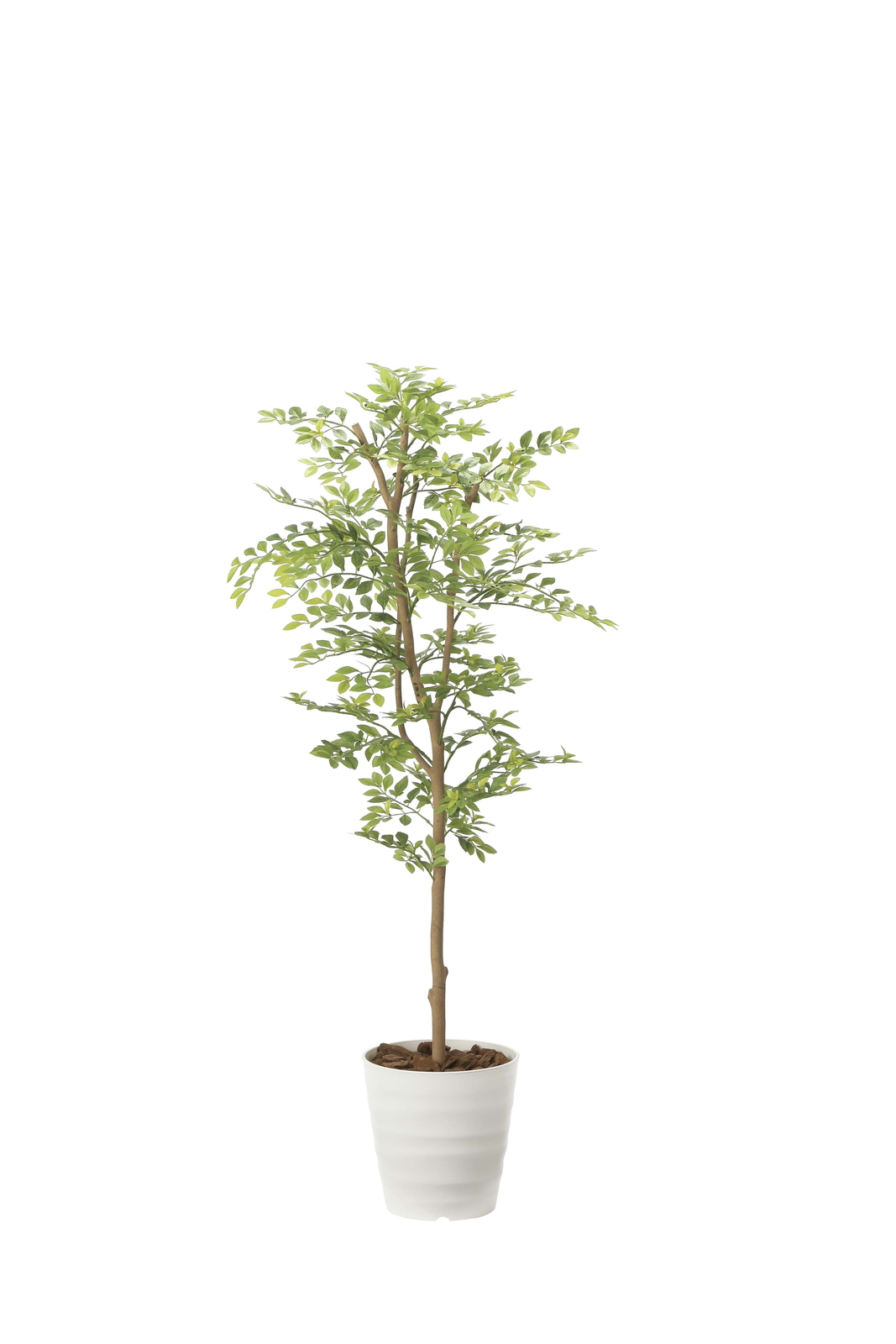 �y�ʓr�����z��-�����-�1.25