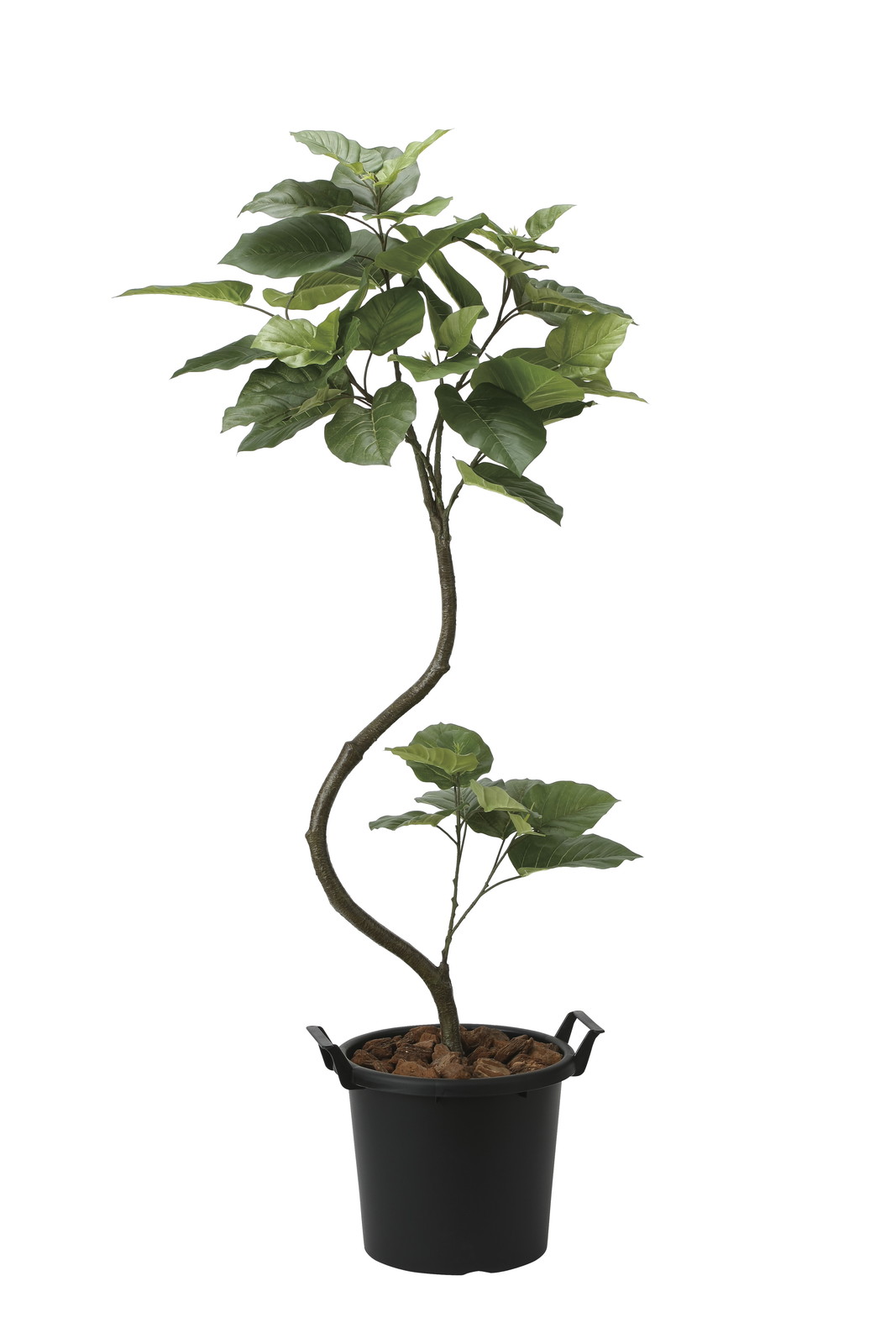 【送料別途】インテリアウンベラ-タ1.65