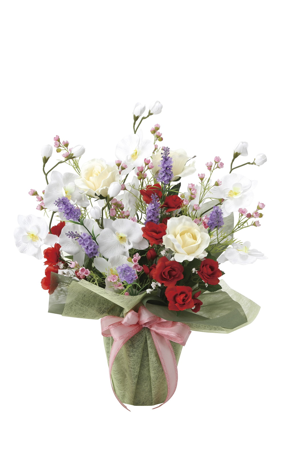 【別途送料】スプレンドロ-ズ