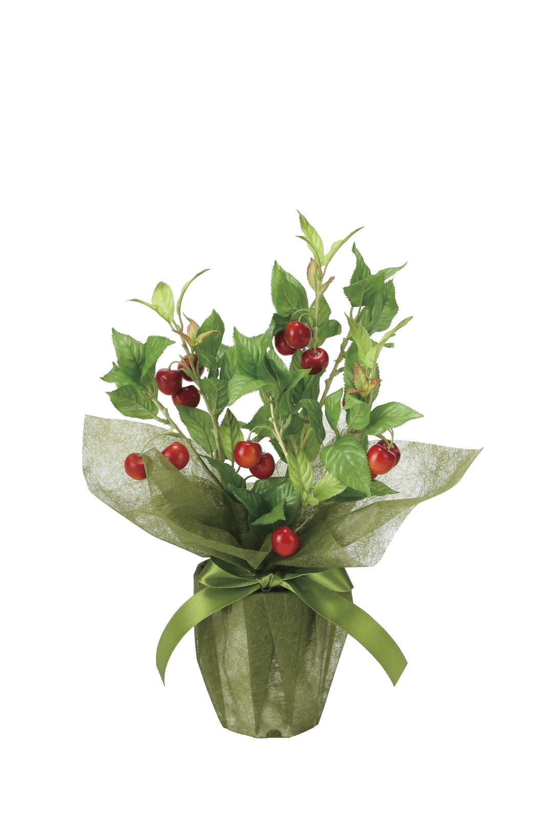 �y�ʓr�����z������