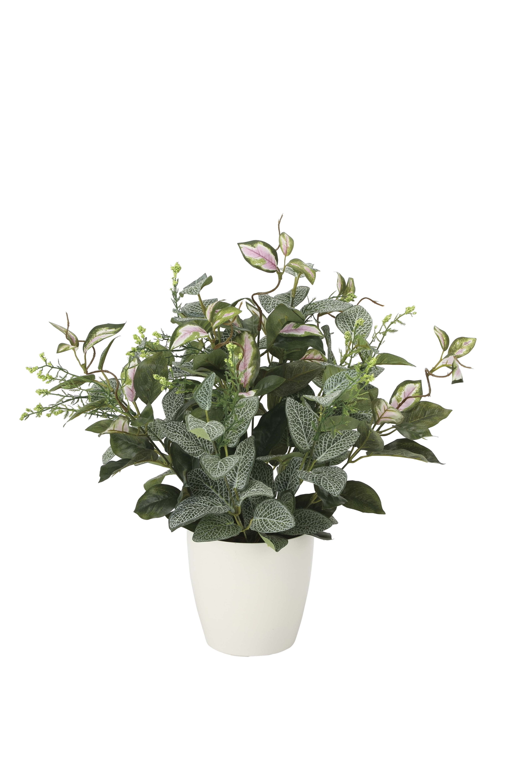 �y�ʓr�����zЯ��̨��Ʊ