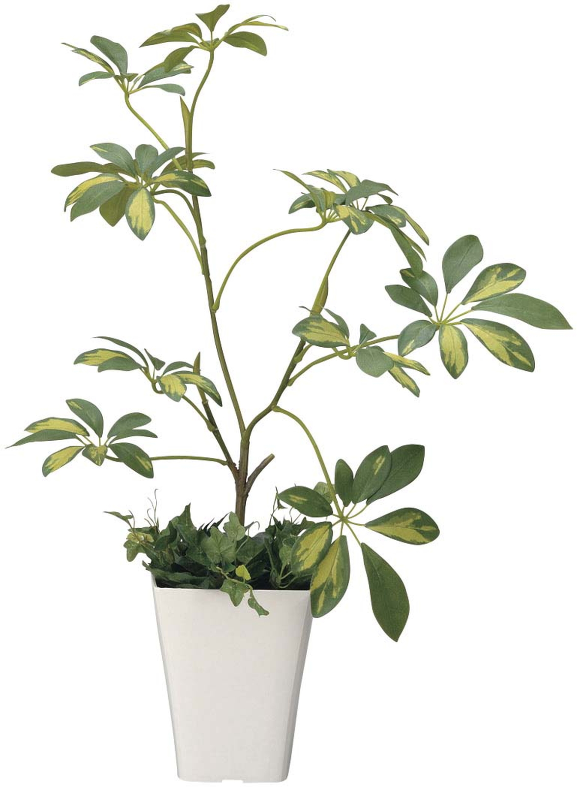 �y�ʓr�����z�����