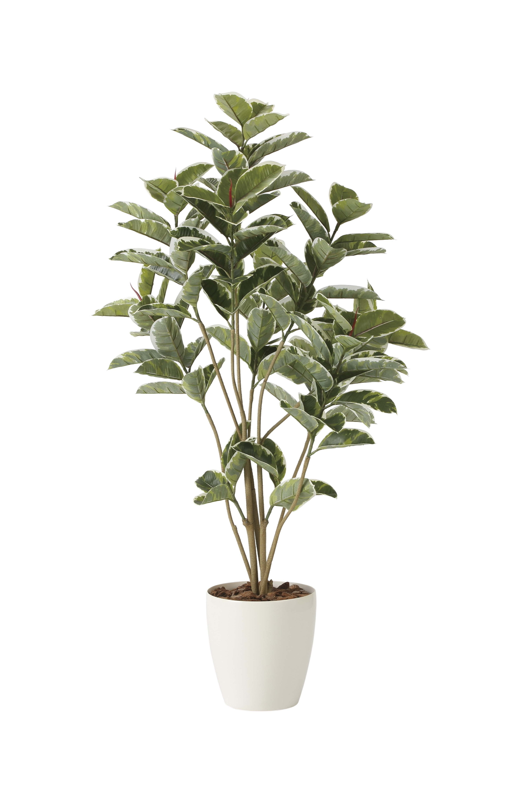 �y�ʓr�����z��ü�DX1.6