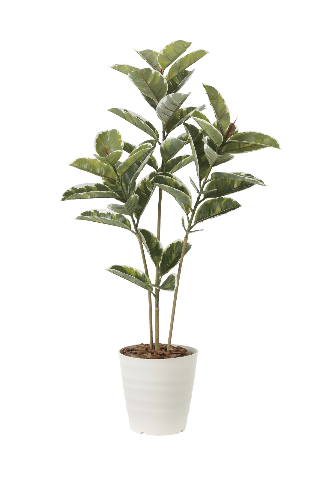 �y�ʓr�����z��ü�1.2