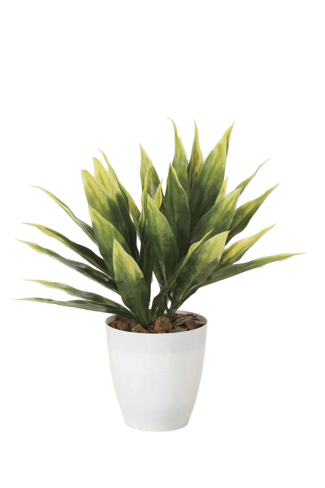 �y�ʓr�����z��׾�(��ؐ�)