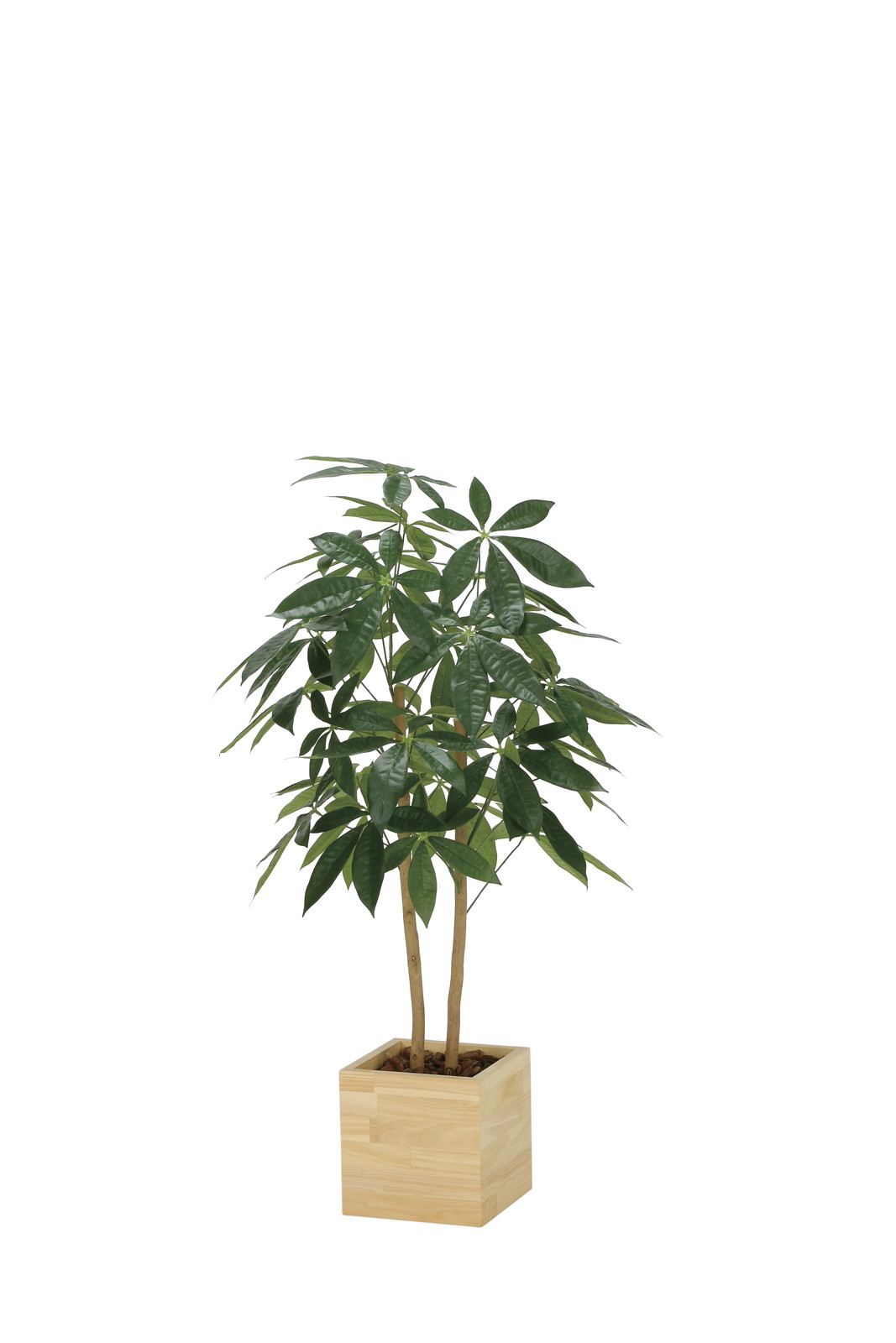 �y�ʓr�����z�@�����ޯ���߷�1.0