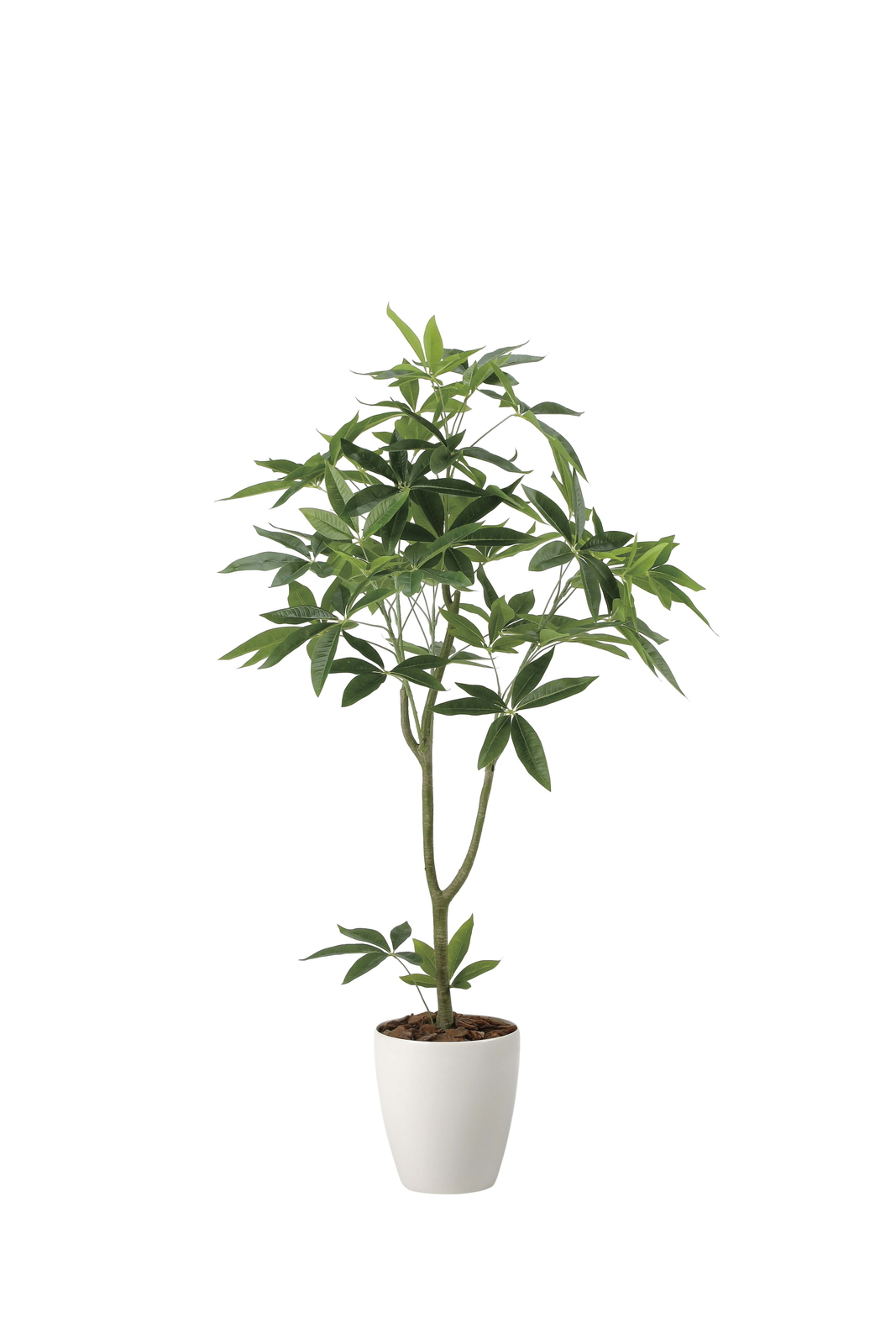 �y�ʓr�����z�گ���߷�1.35