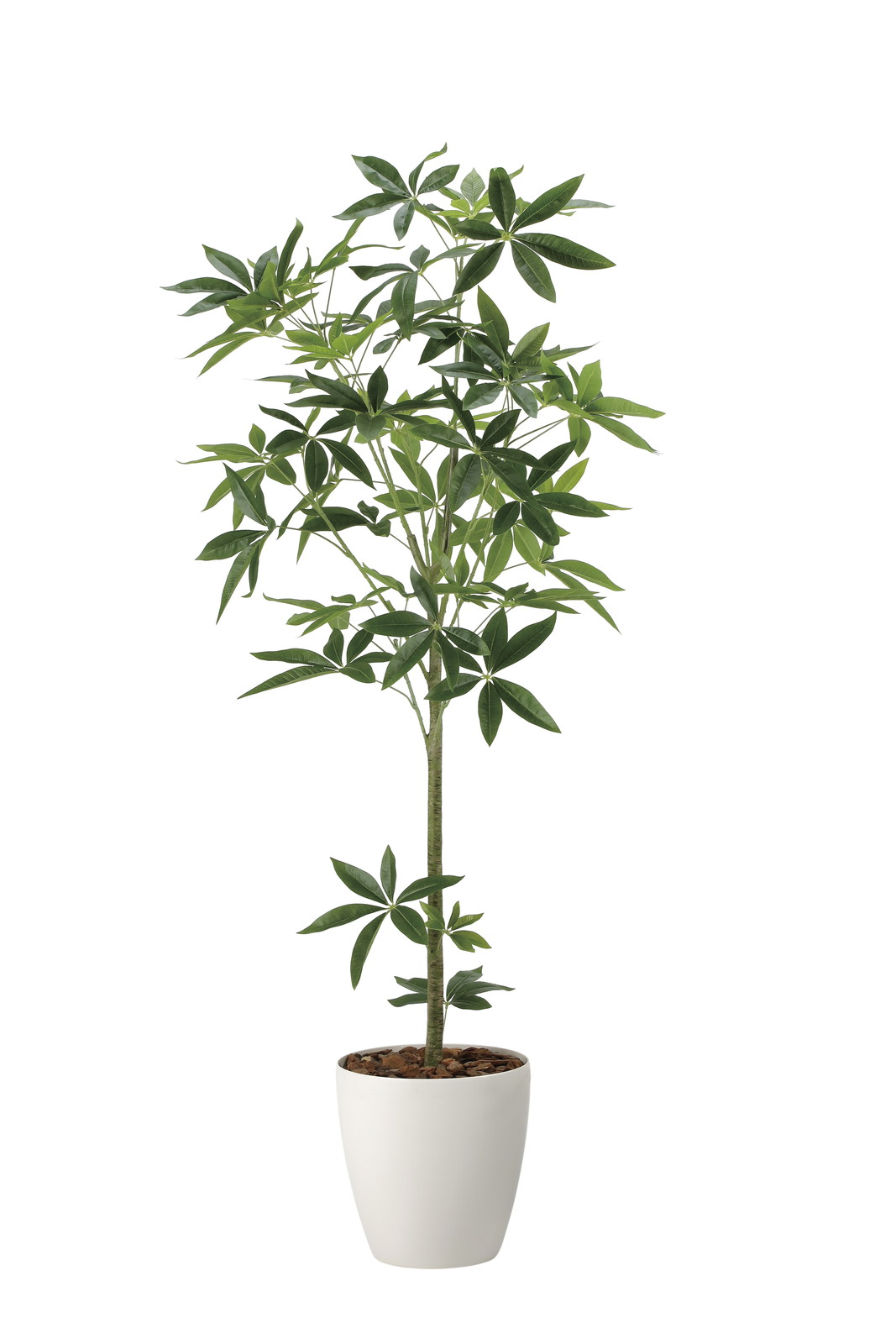 �y�ʓr�����z�V�i��YAT2322R430�@�گ���߷�1.7