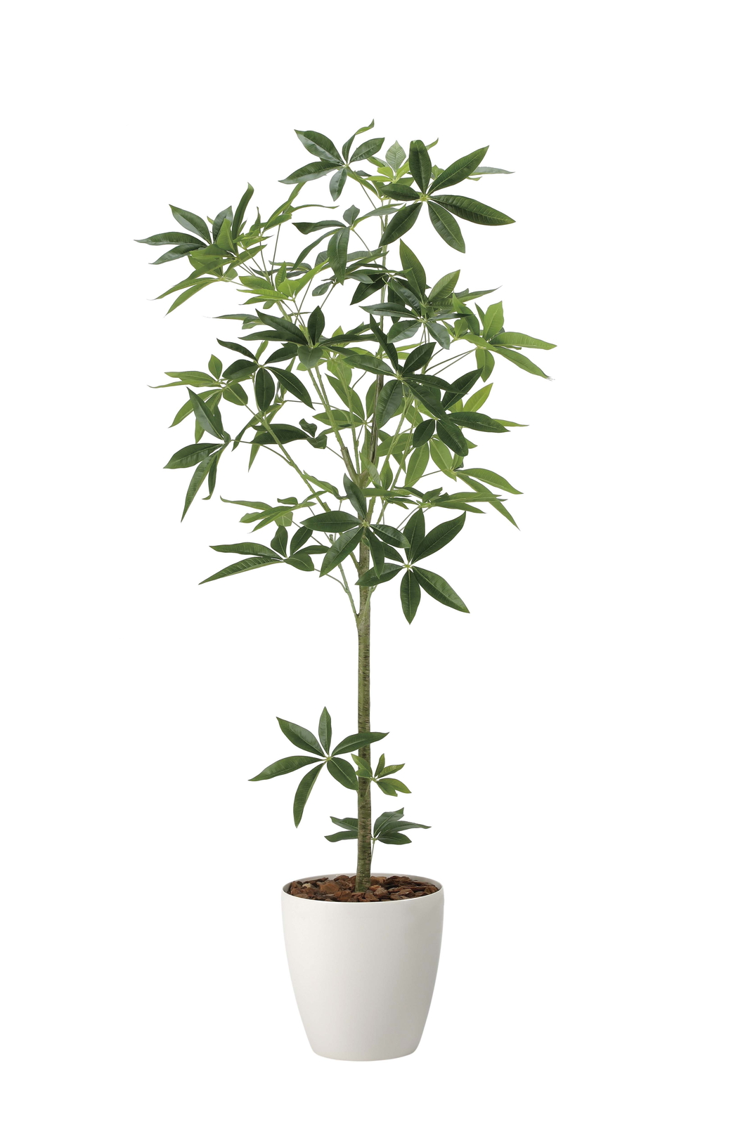 �y�ʓr�����z�گ���߷�1.6