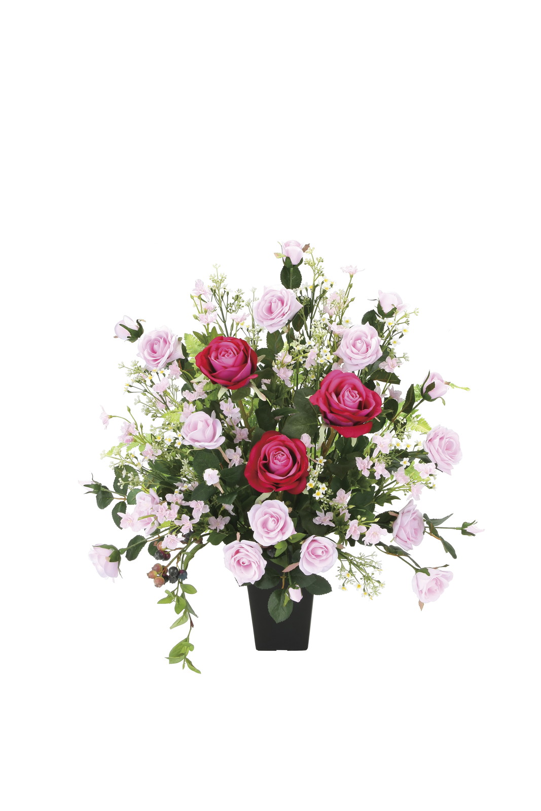 【別途送料】ファ-ストロ-ズ