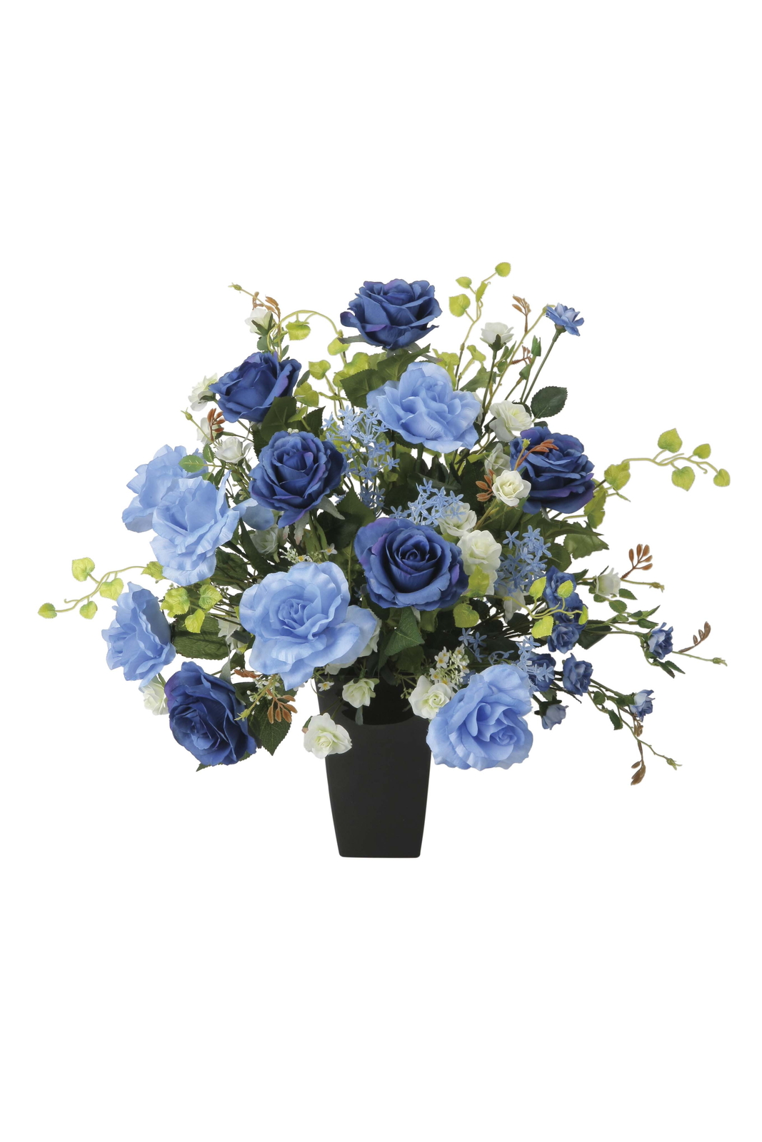 �y�ʓr�����z��ٰ���۰��