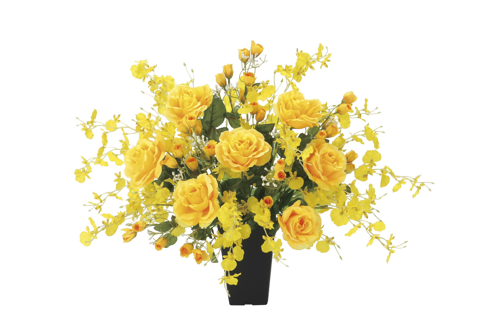 【別途送料】ゴ-ルドエ-ス