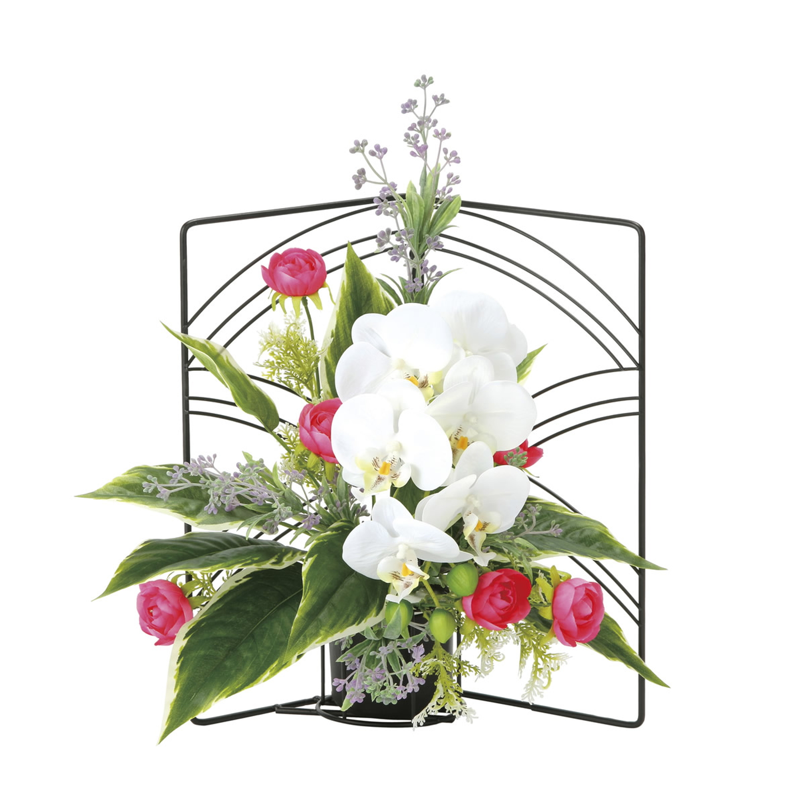 �y�ʓr�����z�퐶