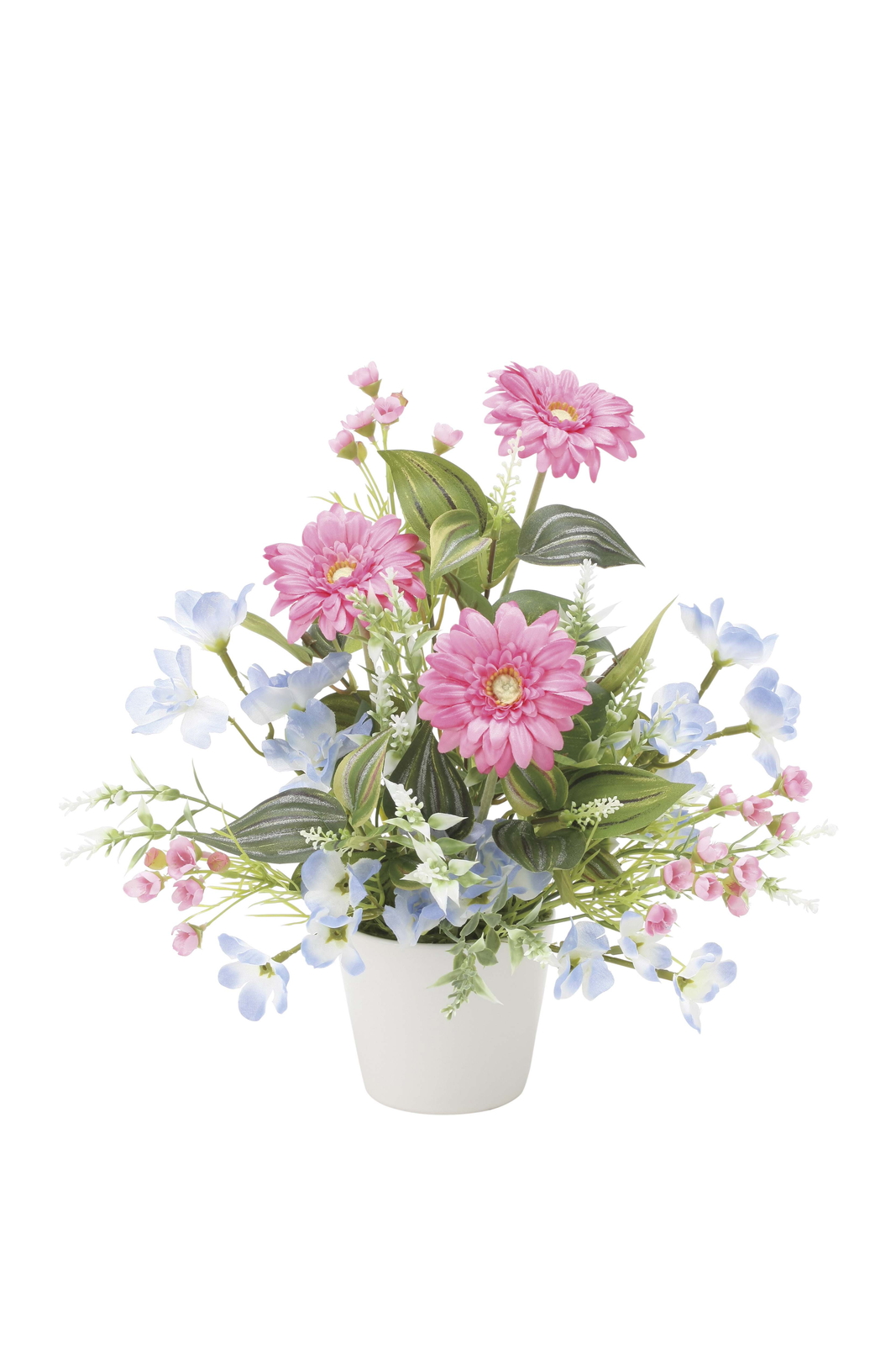 �y�ʓr�����z��ضް���