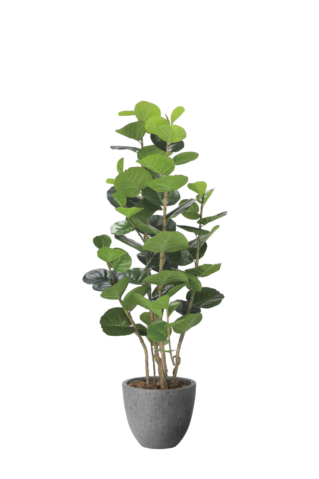 �y�����ʓr�z����ټ���ڰ��1.6