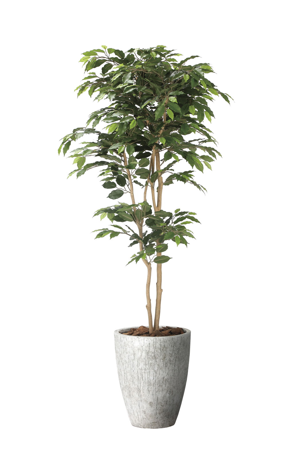 �y�����ʓr�z�������ݼެ��1.8