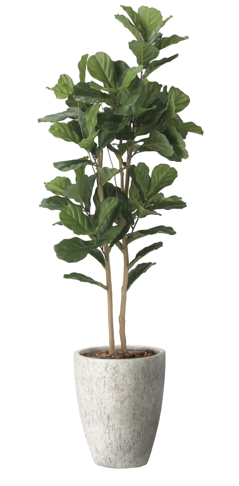 �y�����ʓr�z����ٶ���޺��1.8