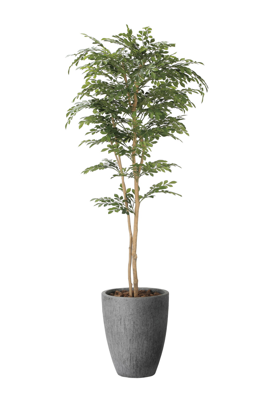 �y�����ʓr�z�������غ1.8