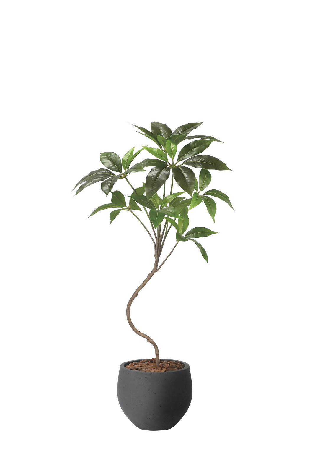 �y�����ʓr�z���������ݻ�1.0