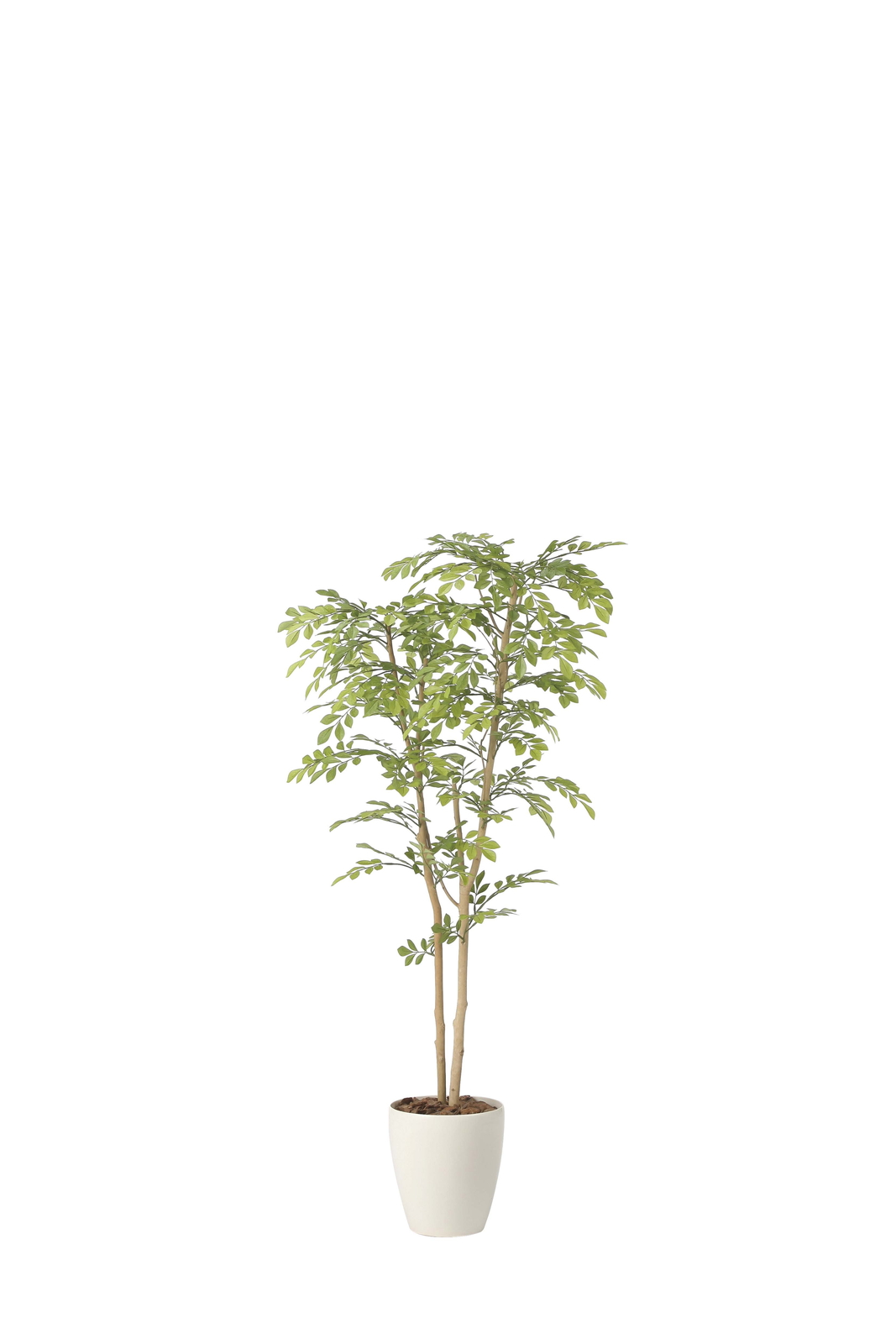 �y�ʓr�����zײ���غ1.3