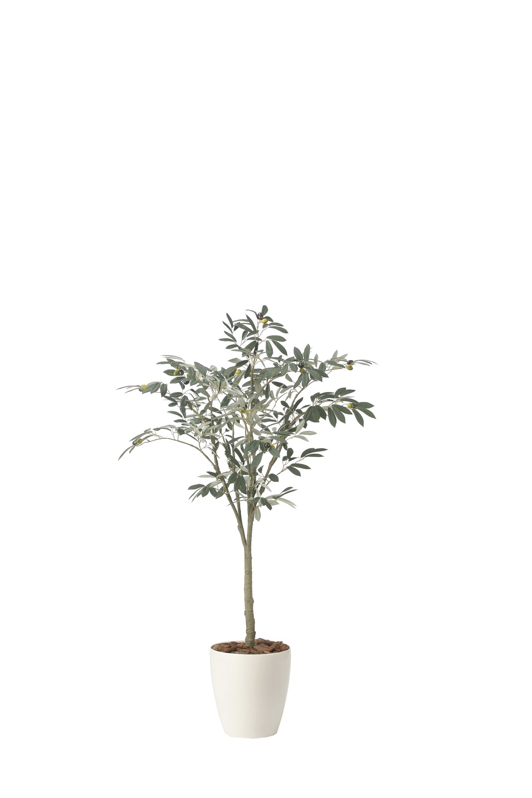 【送料別途】オリーブツリー1.35