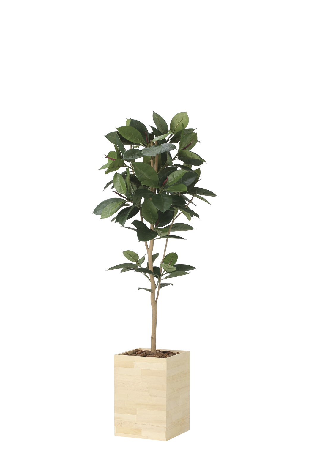 【別途送料】ウッドボックスゴムの木1.8