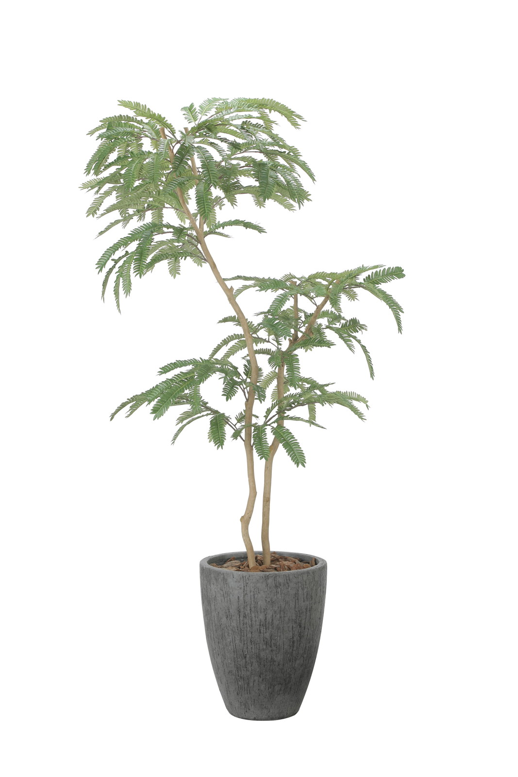 �y�����ʓr�z����ق˂ނ̖�1.8