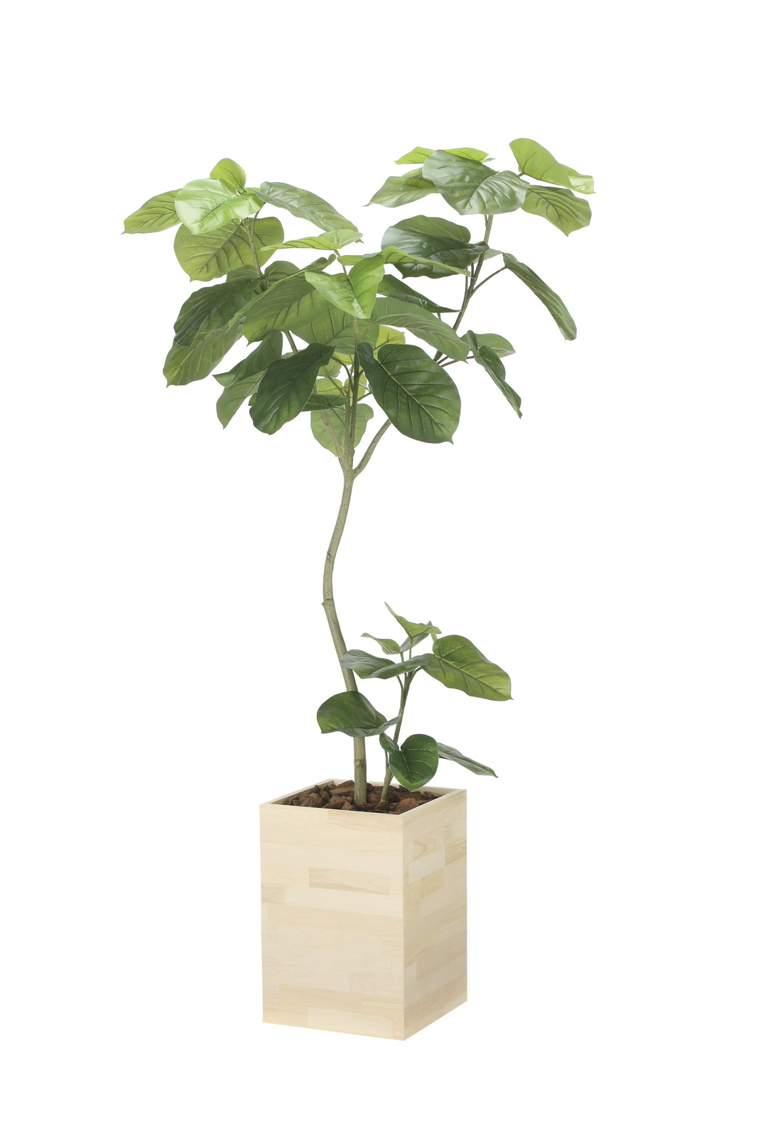 【送料別途】ウッドボックスウンベラータW1.8