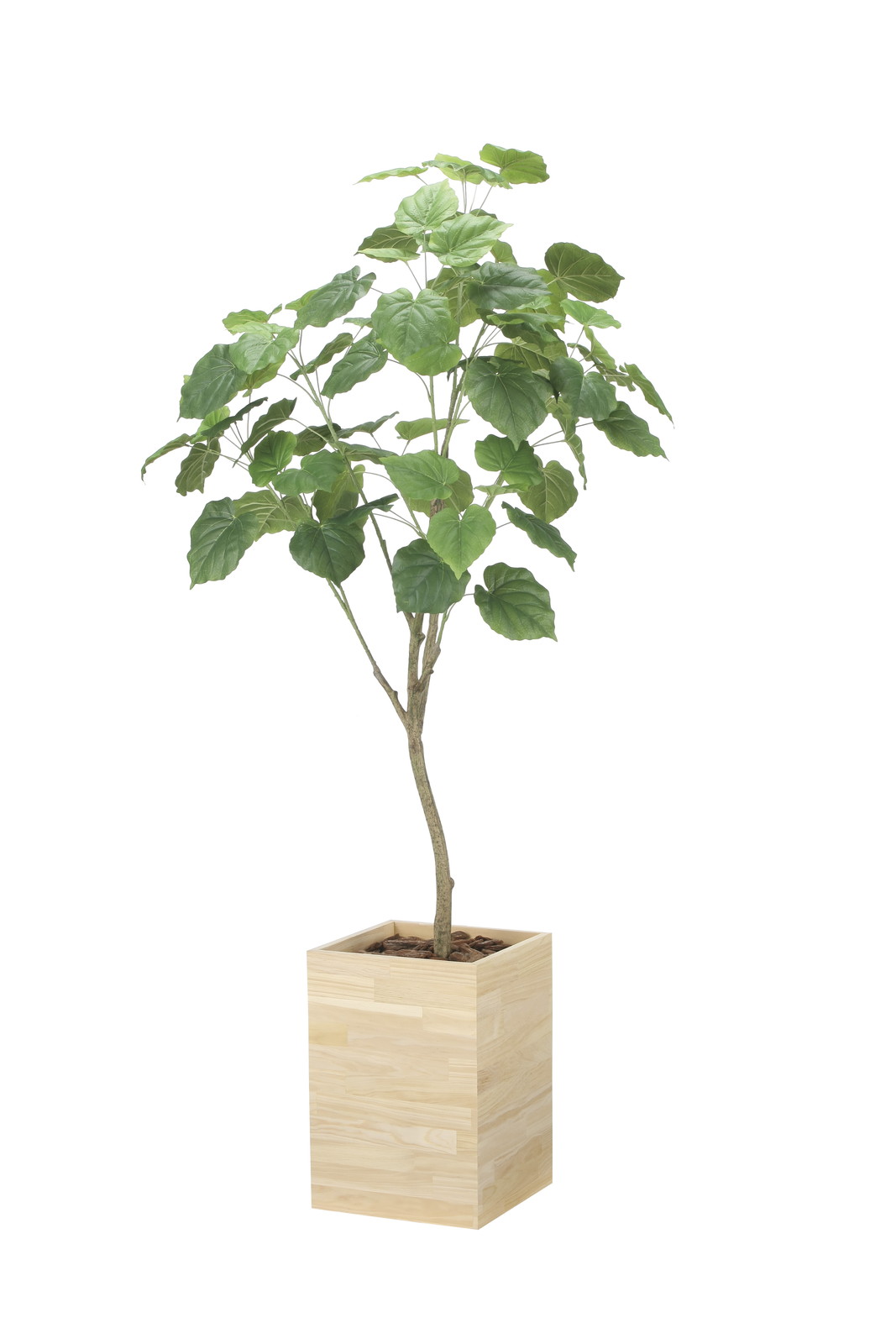 【送料別途】ウッドボックスウンベラータ1.8