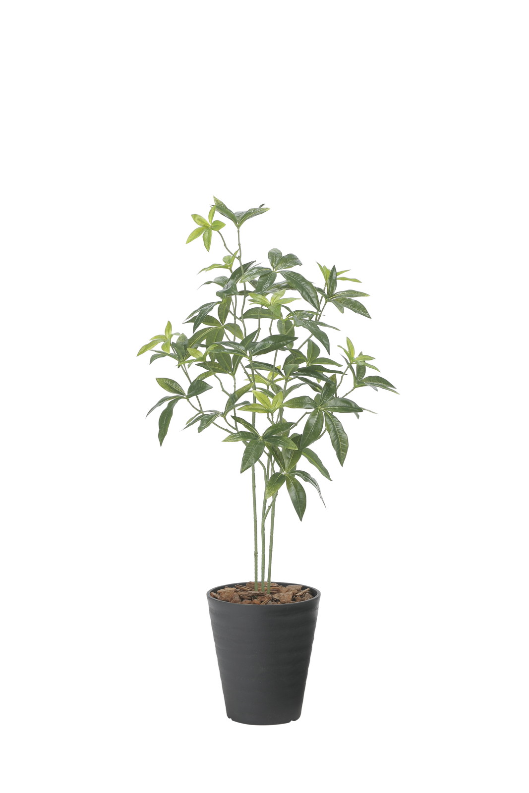 �y�����ʓr�z�گ���߷�95