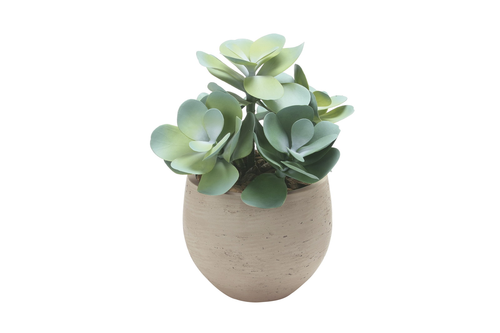 【送料別途】ビックマネーツリー(ポリ製)