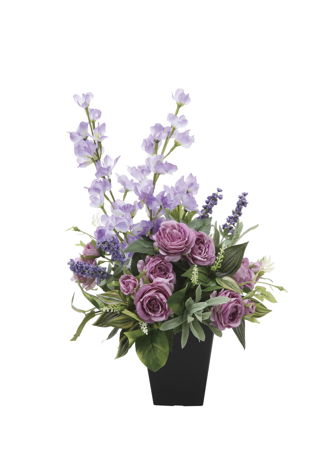 【送料別途】アリゾナ