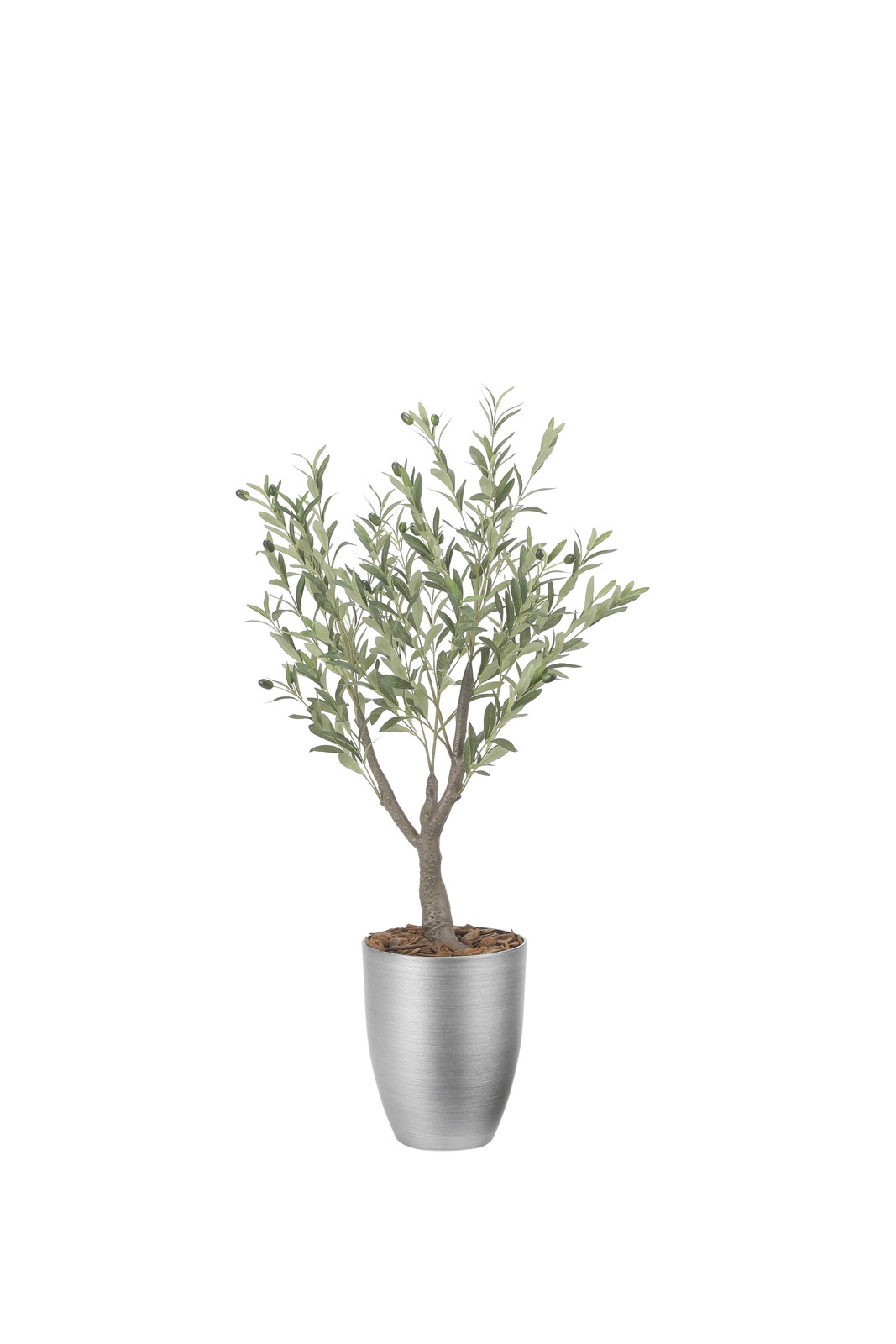 �y�����ʓr�z���ر�ذ��1.25