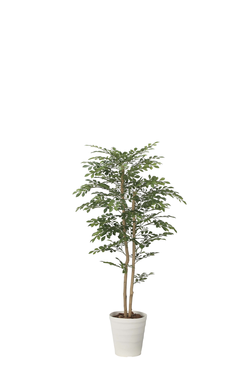 �y�ʓr�����z��غ 1.35