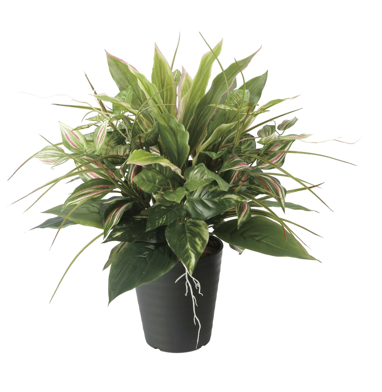 �y�ʓr�����zЯ�����ި�