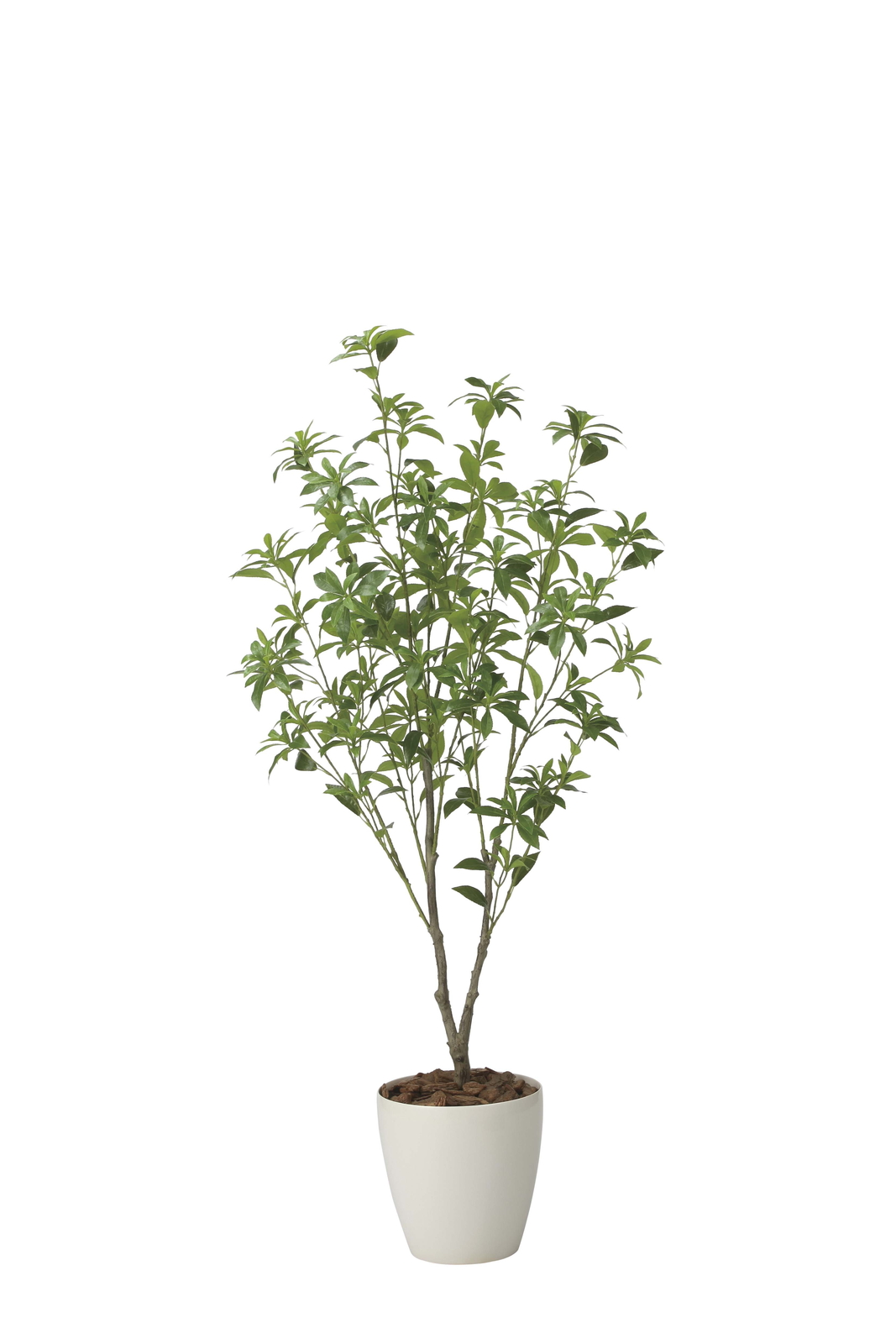 �y�ʓr�����z�گ������1.65